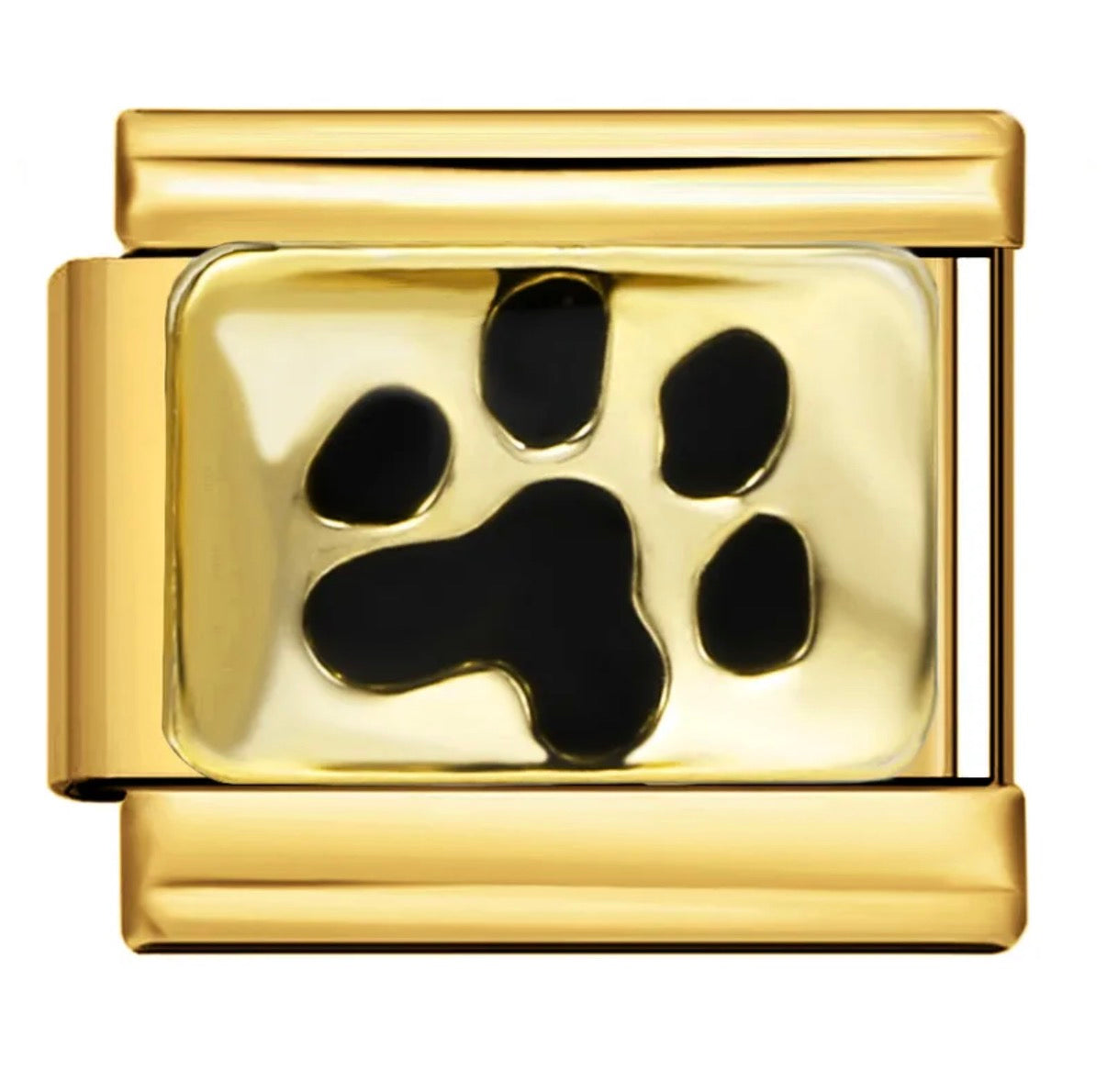 Module Doré patte 🐾