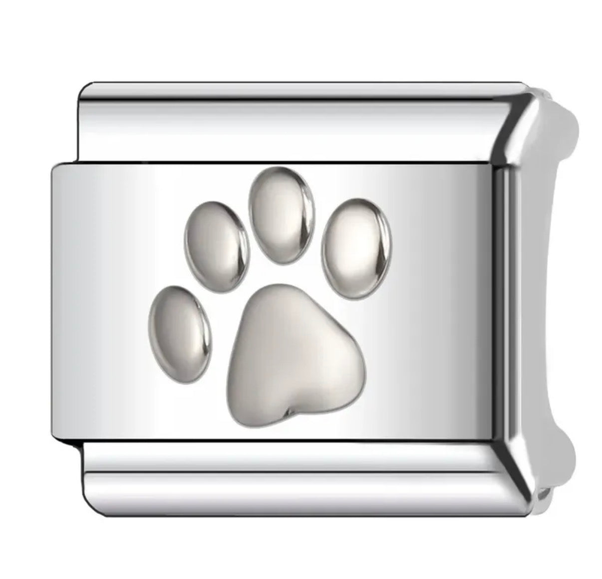 Module Argenté patte 🐾 Chat